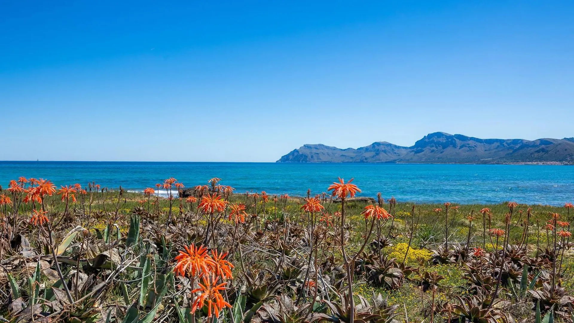 Tatil Evi Ran De Mar Villa Son Serra de Marina İspanya